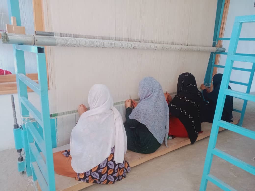 2682e5a9-5fa9-43b9-bccd-9c1ca0b2ab55_17_11zon