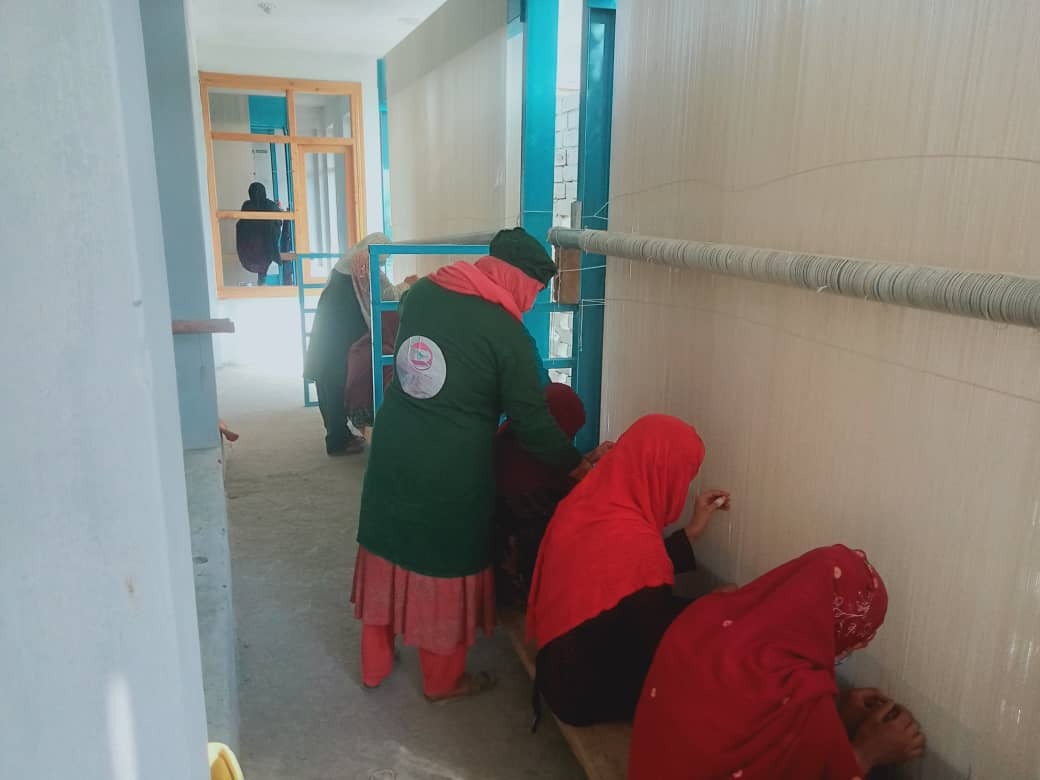 89dfa53f-89ee-473f-a3f7-0088ffb6dc58_11_11zon