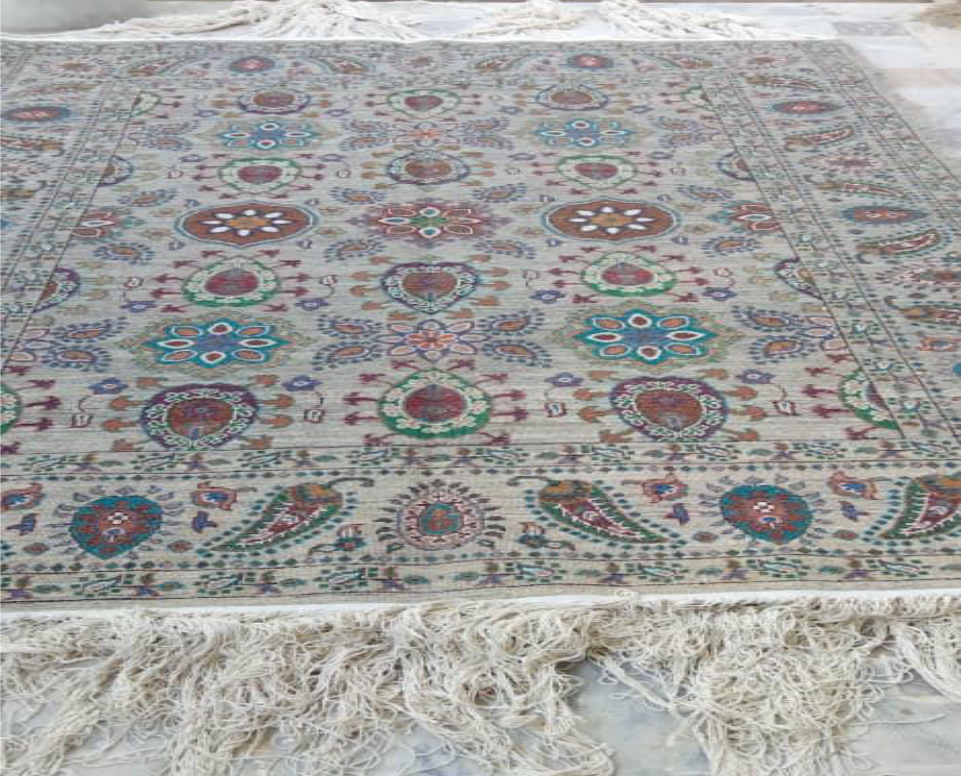 Prodcut List of Sahil Safi-6