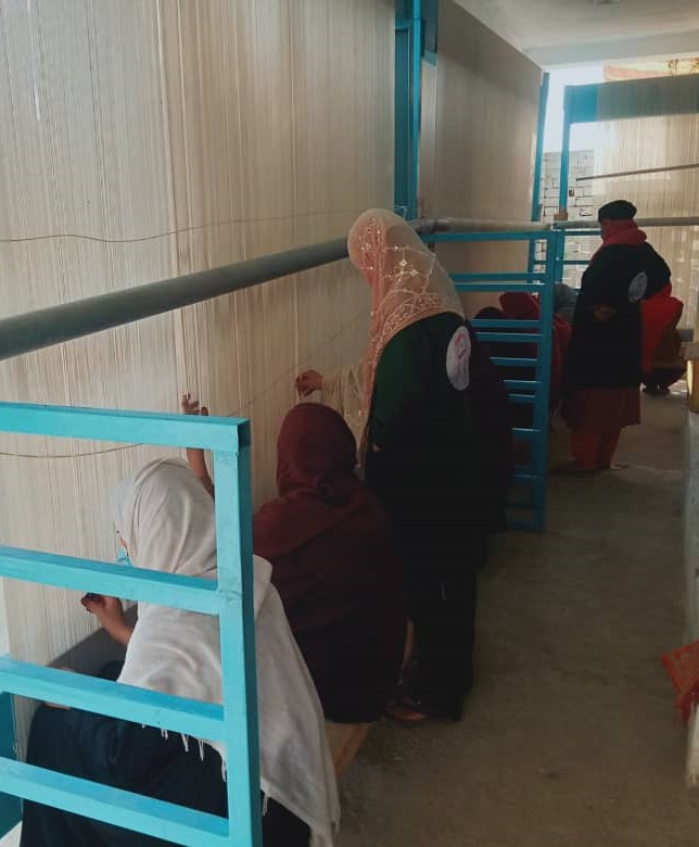 WhatsApp Image 2024-10-23 at 9.11.01 AM