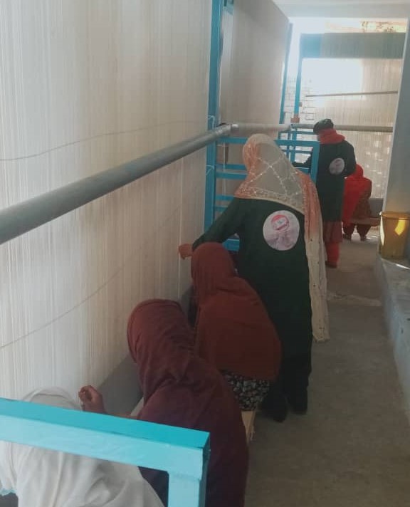 WhatsApp Image 2024-10-23 at 9.22.38 AM