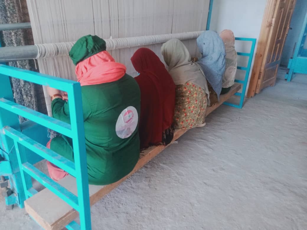 cd06a9df-2760-48ed-8bb6-a0d10a9b32ab_23_11zon