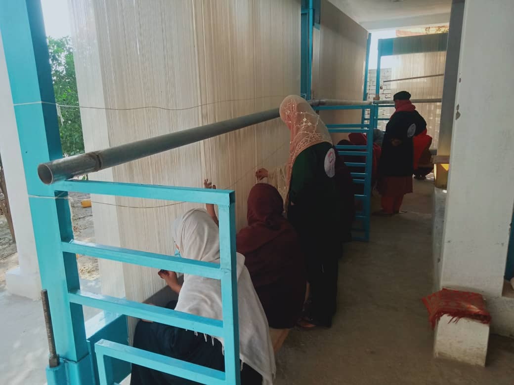 f47d319b-69c7-4a2d-8277-44e52a0d7d19_25_11zon